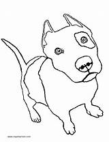 Terrier Coloring Pages Bull Staffordshire American Getdrawings sketch template