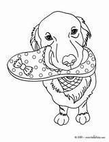 Coloring Pages Lab Yellow Labrador Color Dog Print Hellokids Online Getdrawings Getcolorings sketch template