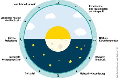 medizin nobelpreis den takt des lebens erhellt diepressecom