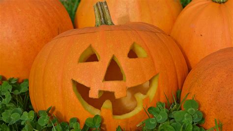 How To Carve A Pumpkin For Halloween Guides Toad Hall Cottages
