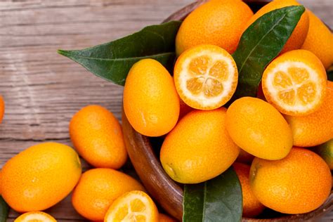 Kumquat Proprietà E Utilizzi Della Fortunella O Mandarino Cinese