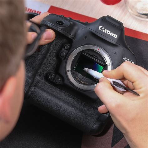 Kamerasensorreinigung Und Prüfung Canon Deutschland