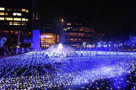 tokyos  winter illuminations   savvy tokyo