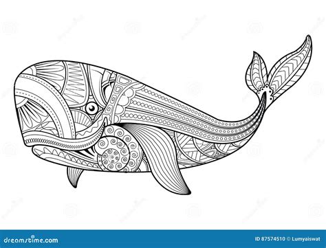 vector illustration  whale coloring pages stock vector