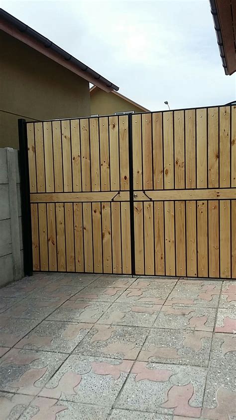 dog  standing  front   wooden gate