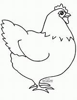 Coloring Chickens sketch template