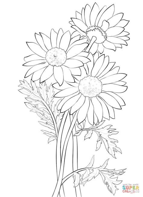 daisy coloring page  printable coloring pages