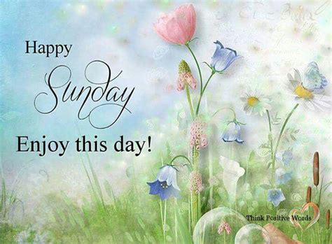 happy sunday enjoy  day pictures   images  facebook tumblr pinterest