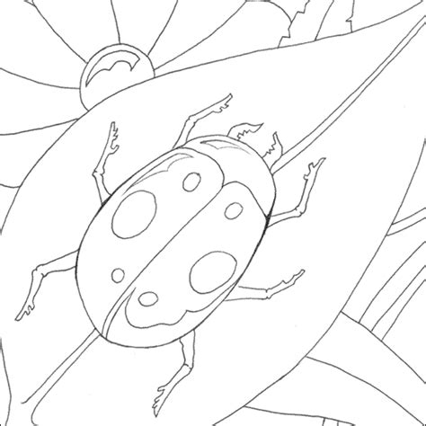 ladybird colouring picture