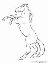 Mustang Coloring Horse Pages Printable Getcolorings sketch template