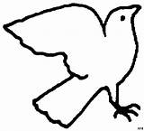 Vogel Fliegender Schematisch Malvorlage Titel sketch template