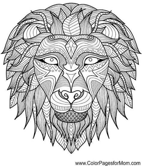 pin  lynn faverty  coloring pages  animal coloring pages lion