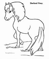 Horse Coloring Sheets Pages Printing sketch template