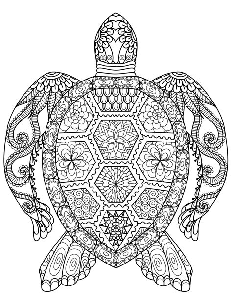 animal coloring pages  adults  coloring pages  kids