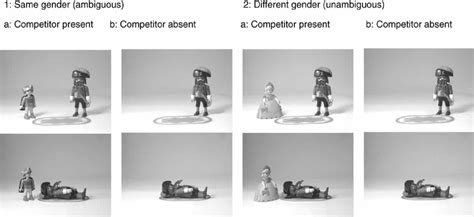 Example Pictures In The Same Gender Ambiguous And Different Gender