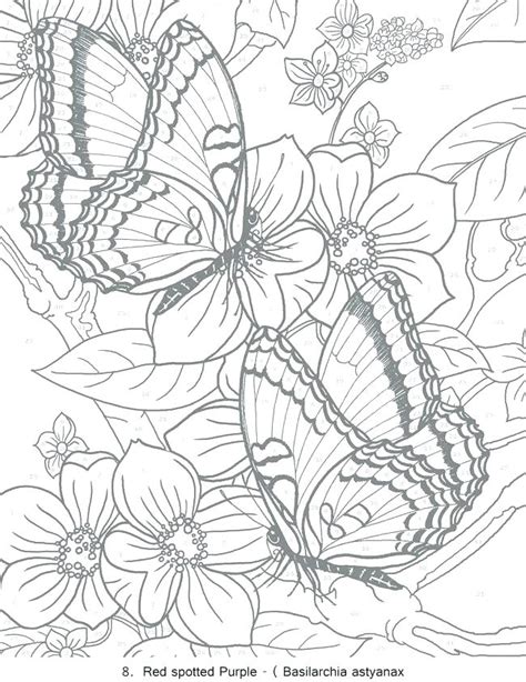 color  number coloring pages  adults  getdrawings