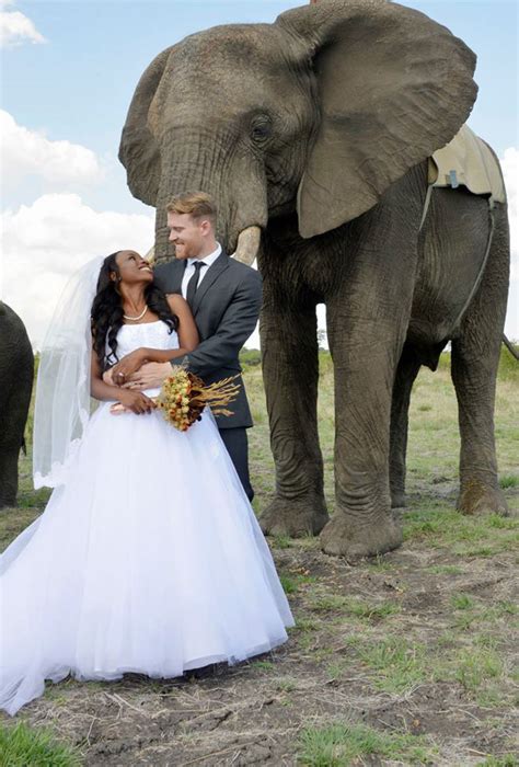 Couple Have Safari Wedding Surrounded By Elephants And Giraffes