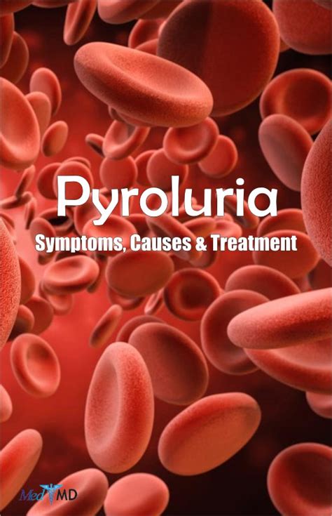 Pyroluria Symptoms Diagnosis Treatment And Information