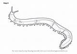 Worm Draw Drawing Earthworm Velvet Step Worms Learn Improvements Necessary Finally Finish Make Paintingvalley Tutorials sketch template