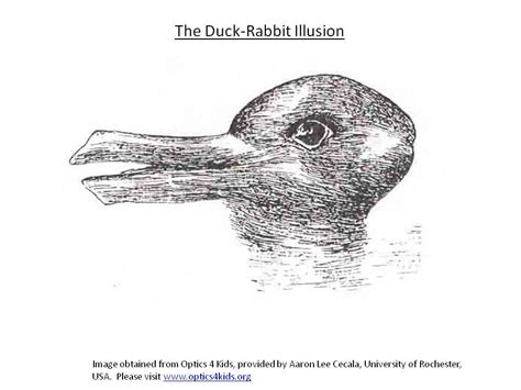 See How Optical Illusions Can Fool Your Brain Discoveryexpress Weebly