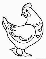 Hen Coloring Pages sketch template