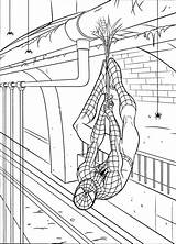 Spiderman Colouring Pages Print Printable Template Templates sketch template