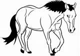Cavalo Cavallo Cavalos Tegninger Caballo Heste Hest Stampare Dondolo Tegning Kolorowanki Konie Galopie Farvelægning sketch template