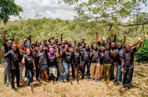 350 africa organising for a new wave of people powered