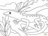 Lizard Horned Lizards Print Supercoloring sketch template