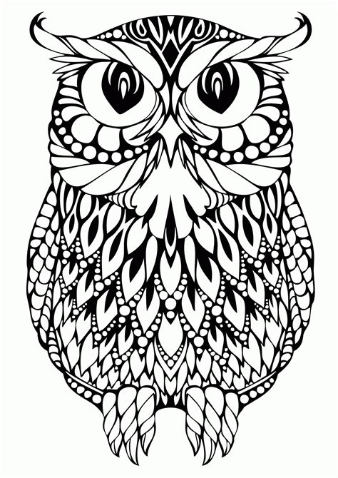 easy adult colouring pages printable owl clip art library
