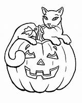 Coloring Halloween Cat Pages Printable Scary Pumpkin Pumpkins Print Color Dog Sitting Beautiful Kids Cute Cats Sheets Fall Witch Adults sketch template