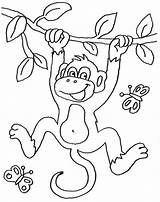 Affe Affen Ausmalen Malvorlage Zeichnen Dschungel Tier Basteln Ausmalbild Schablone Kostenlose Kinderbilder Colouring Wort Zootiere Fasching Schule Einhorn sketch template