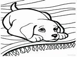 Bone Coloring Dog Getdrawings sketch template