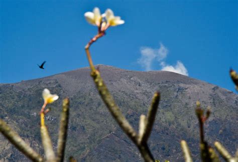 bali volcano latest news update climbers having sex on agung are to