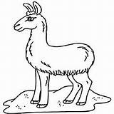 Coloring Pages Llamacorn Llama Printable Getdrawings Pdf Getcolorings sketch template