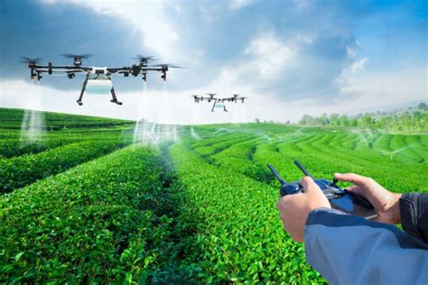 drones  agriculture tree planting drones dronesinsite