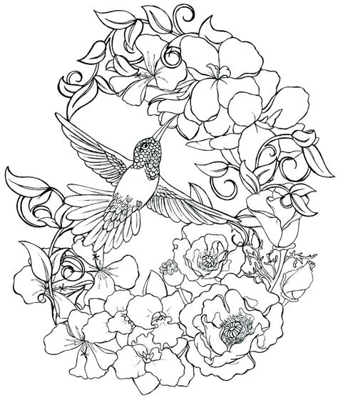 realistic rose coloring pages  getdrawings
