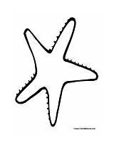 Coloring Starfish Fish Star Clipart Pages Colormegood Animals sketch template