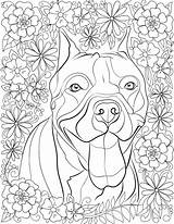 Coloring Pitbull Pages Dog Pit Bulls Book Stress Popular sketch template