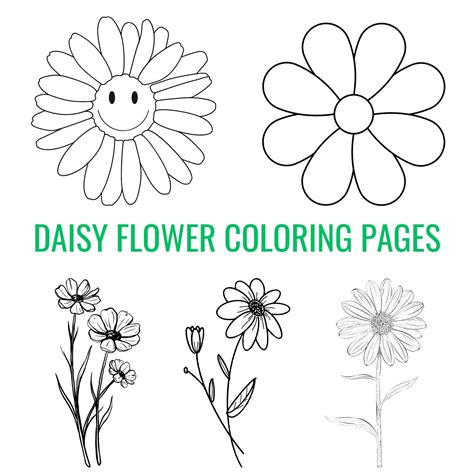 daisy flower coloring pages