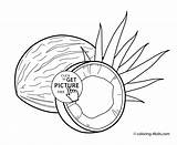 Coloring Coconut Pages Library Clipart Circle Printable sketch template