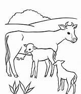 Colouring Cows Mom Coloringstar sketch template