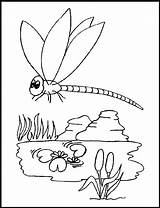 Coloring Pages Dragonfly Printable Template Color Kids Colouring Dragon Fly Print Templates Animal Animals Popular sketch template