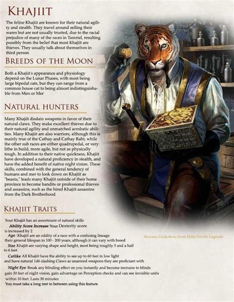 The Elder Scrolls Races In Dandd 5e For Some Upcoming Stuff