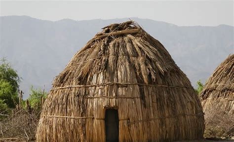 la hutte du peuple arboré architecture vernaculaire