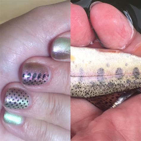 Trout Nails The Couture Fly