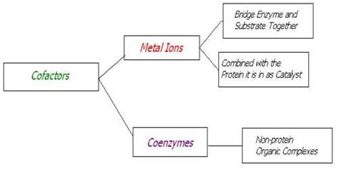 cofactor assignment point