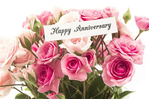 happy anniversary card  bouquet  pink roses stock photo image  phrase card