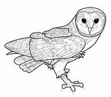 Owl Barn Lineart Imagixs sketch template