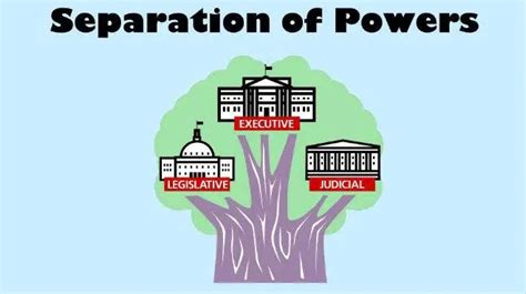 separation  powers law column